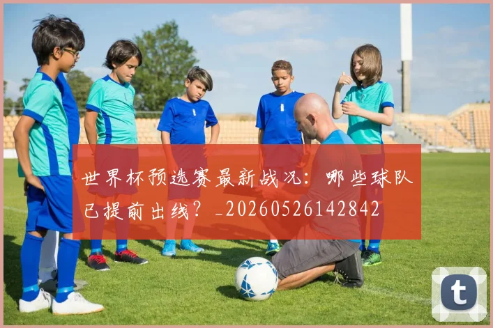 世界杯预选赛最新战况：哪些球队已提前出线？_20260526142842
