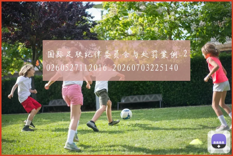 国际足联纪律委员会与处罚案例_20260527112016_20260703225140