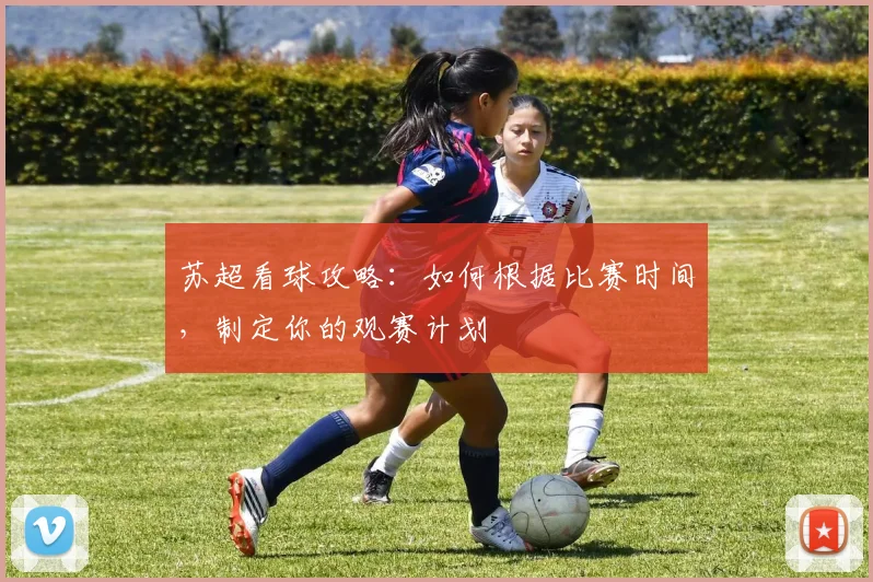 苏超看球攻略:如何根据比赛时间,制定你的观赛计划
