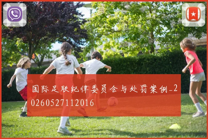 国际足联纪律委员会与处罚案例_20260527112016